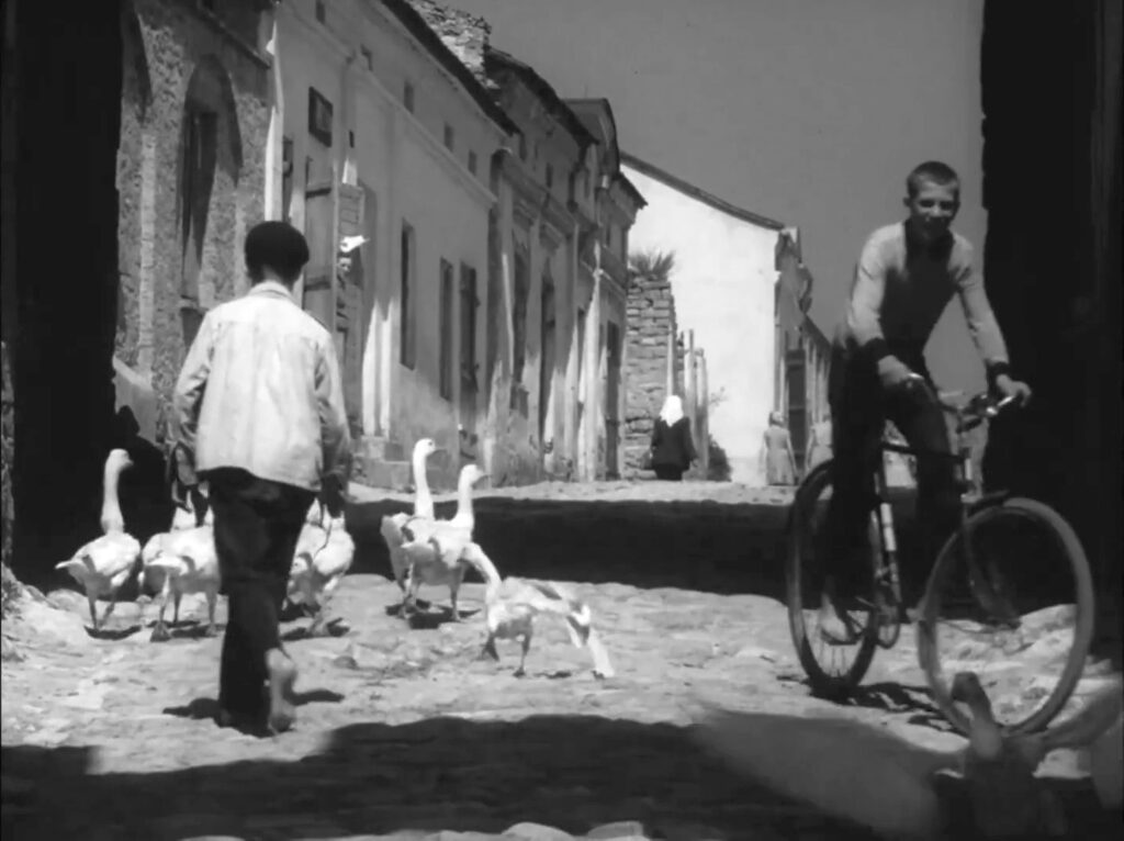 Szydłów 1961, Polska Kronika Filmowa, brama, gęsi, mężczyzna, chłopak na rowerze
