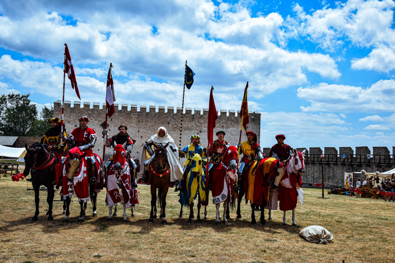 Średniowieczni rycerze na koniach Szydłów