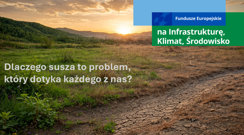Jak współczesne zmiany klimatyczne zmieniają definicję suszy, co każdy z nas może zrobić, aby zatrzymać ten wysychający scenariusz?