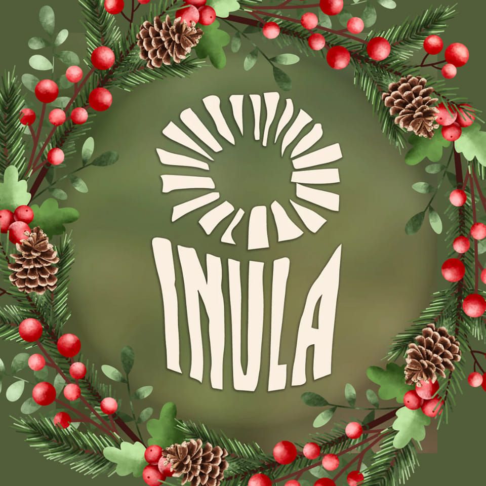 Zaproszenie na&nbsp;koncert zespołu INULA