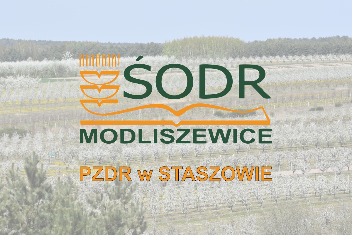 Zapisy na szkolenie uzupełniające